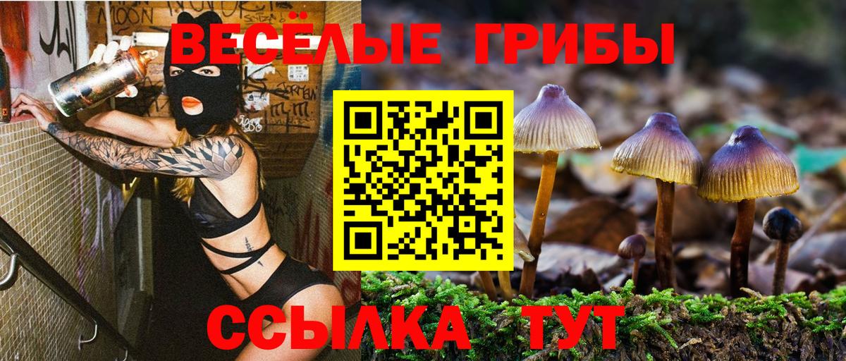 Псилоцибиновые грибы Psilocybe Спасск-Дальний